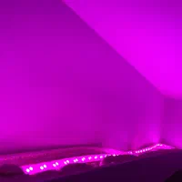 لامپ LED سقفی