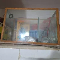 آکواریوم ماهی