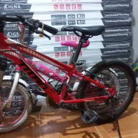 دوچرخه|دوچرخه، اسکیت، اسکوتر|شهریار, شهرک وائین|دیوار