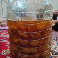 فروش ترشک قیسی
