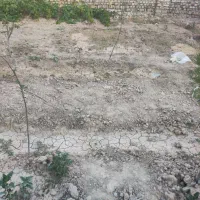 زمین-200-متری-مسکونی-شهر-کارچان