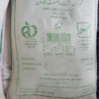 شکر سفید کارون