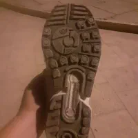 کتونی ZX 8000 سفارش کره|کیف، کفش، کمربند|رباط‌کریم, رباط‌کریم|دیوار