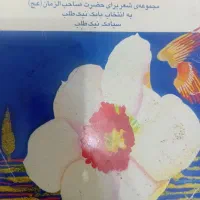 کتاب غیر درسی|کتاب و مجله ادبی|نجفآباد, شریعتی غربی|دیوار