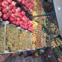 شاگرد میوه فروشی