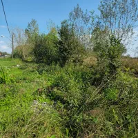 ۳ هزار متر مسکونی باغی (شهر باران حمید فلاح) 369|فروش زمین و ملک کلنگی|لشت نشا, |دیوار