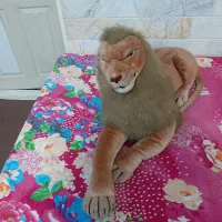 عروسک|اسباب‌‌بازی|قم, نیروگاه|دیوار