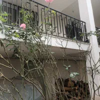 اپارتمان