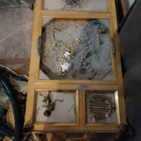 منقل خانگی(عربی)