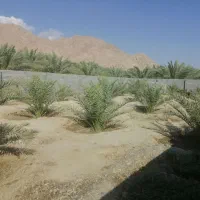 فروش-ملک-516-متری