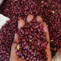 برنج کامفیروزی ولوبیا قرمز|عمدهفروشی|سیاخ دارنگون, |دیوار