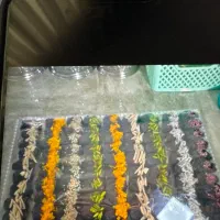 پخت انواع حلوا و کیک|خوردنی و آشامیدنی|تهران, امیریه|دیوار