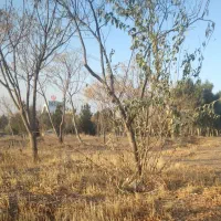 انجام خدمات باغبانی و سمپاشی