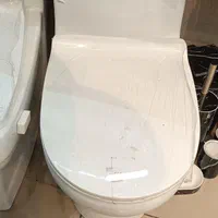 فرنگی گلسار خروجی ۱۰