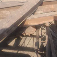 آهن و تیرچه فروشی ضایعات وکارآمد|عمدهفروشی|مشهد, چهاربرج|دیوار