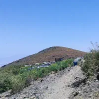 عسل|خوردنی و آشامیدنی|تهران, ترمینال جنوب|دیوار