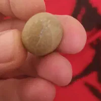 سنگ قیمتی|کلکسیون اشیاء عتیقه|مشگین شهر, |دیوار