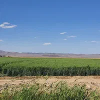 زمین-کشاورزی-آب-چاه