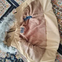 کاپشن بچگانه نو|کفش و لباس بچه|زنجان, |دیوار