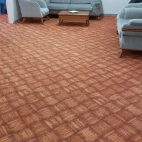 موکت پالاز در حدنو ۵۷ متر|موکت|ایلام, |دیوار