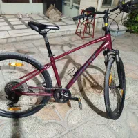 دوچرخه Giant cypress2