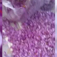 زعفران تربت ونیشابور امسال کاملاارگانیک ارسال دارم|خوردنی و آشامیدنی|شاهدشهر, |دیوار