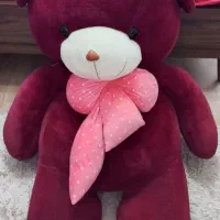 خرس دختر در حدنو وتمیز