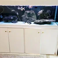 اکواریوم ۲متری شرکتی