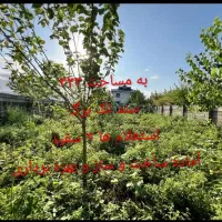 فروش زمین مسکونی ۳۳۳ متری ساحلی در گیلان|فروش زمین و ملک کلنگی|پره‌سر, |دیوار
