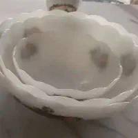 ظروف آرکوپال فرانسه(سیب گلابی)