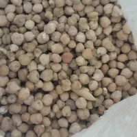 نخود|خوردنی و آشامیدنی|تایباد, |دیوار