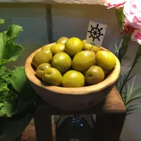زیتون ناخدا|خوردنی و آشامیدنی|تهران, فاطمی|دیوار