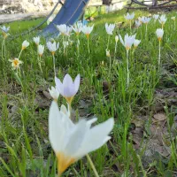 فروش خط 0913183