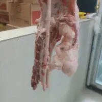 گوشت مرغ دایان