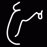 مرغ بومی درجه یک