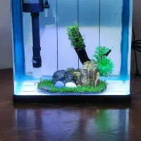 آکواریوم فوق لاکچری