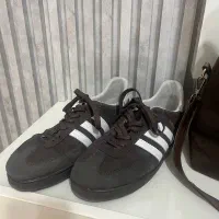 کیف و کفش شیک نو|کیف، کفش، کمربند|ساری, |دیوار