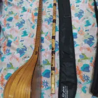 سه تار (ابکار) دو مهر|سازهای سنتی|نورآباد ممسنی, |دیوار