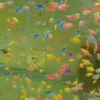 فروش انواع ماهیان زینتی|ماهی|بیلوار, |دیوار