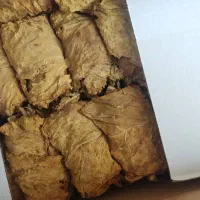 برگ زرد|عمدهفروشی|کاکی, |دیوار