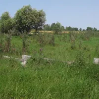 زمین بیشه کلا