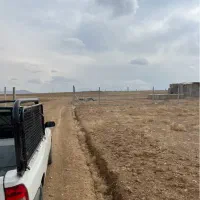 زمین باغی
