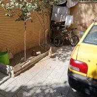 تاکسی۸۵|خودرو سواری و وانت|بروجرد, |دیوار
