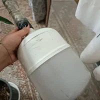 اینه|آرایشگاه و سالنهای زیبایی|شیروان (خراسان), |دیوار