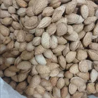 عسل درجه یک منطقه کوهمره سرخی|خوردنی و آشامیدنی|شیراز, فرهنگ شهر|دیوار