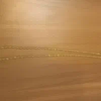 تسبیح شاه مقصود