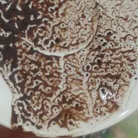 کتاب فال قهوه و تاروت