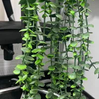 ریسه های گیاه مصنوعی مخصوص دیزاین تراس و اشپزخونه|گل و گیاه طبیعی|فردیس, فرامرزیه|دیوار