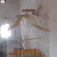 مجسمه|مجسمه، تندیس، ماکت|زابل, |دیوار