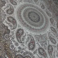 فرش در حد نو تمیز|فرش|قم, علی آباد|دیوار